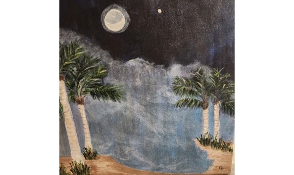 Big image donna provenzano