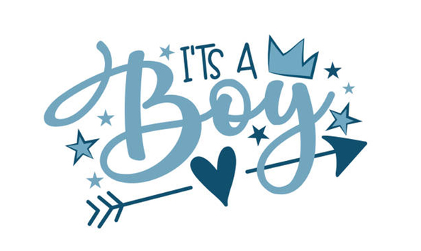 Big image schneider baby boy basket