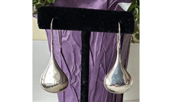 Big image screenshot 2025 03 24 at 11.46.35 am