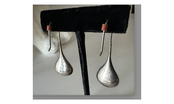 Big image screenshot 2025 03 24 at 11.48.40 am