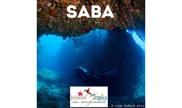 Big image sea saba sq meme