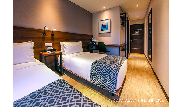 Big image meridian 8