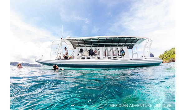 Big image meridian 6