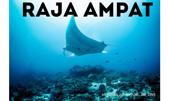 Big image meridian 10