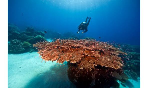 Big image 1743469 10152270017179628 533755630 n