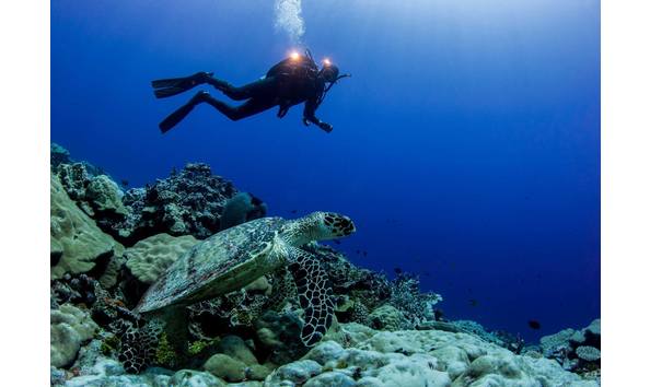 Big image 10842035 10152964940119628 6869790889505217982 o