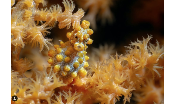 Big image screen shot 2025 03 28 at 4.24.02 pm