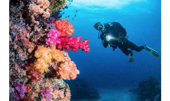 Big image screen shot 2025 03 28 at 5.48.02 pm