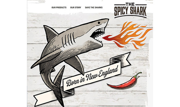 Big image spicy shark logo