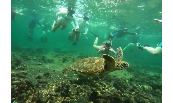 Big image 5yacht anahi activities snorkeling gal 27 copy