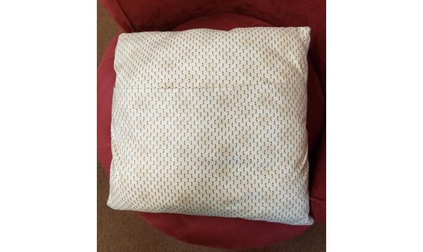 Big image 20250403 140849