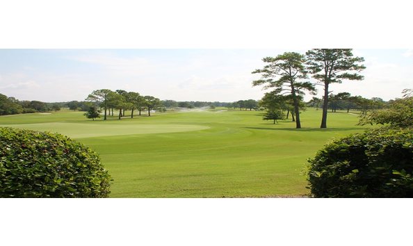 Big image nice pic of course