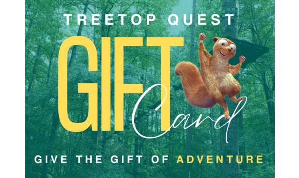 Big image treetop quest dunwoody 