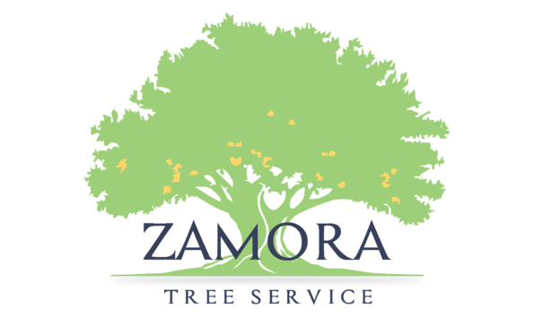 Big image vector file   zamora