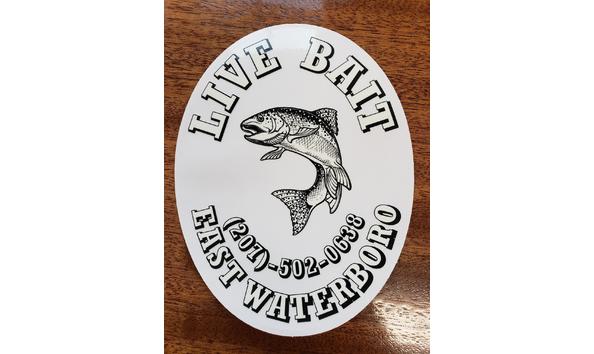 Big image 20250408 182441