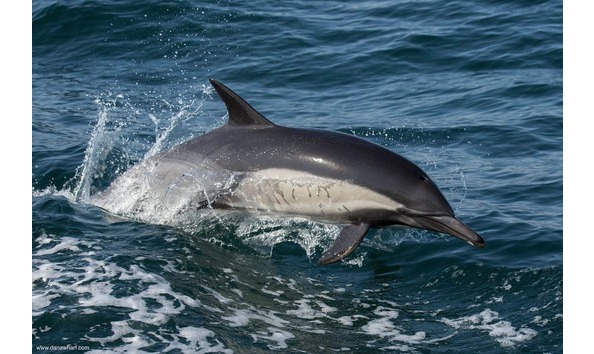 Big image 17917496 1317530101659659 6182332931264575855 o