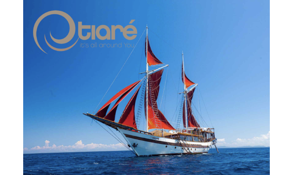 Big image mini magick20250411 1804 17lc2wh