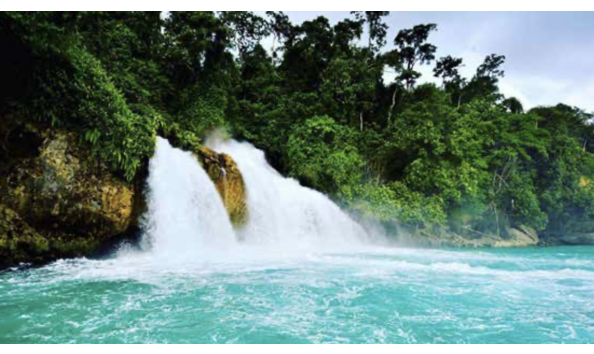 Big image mini magick20250411 1804 443e5