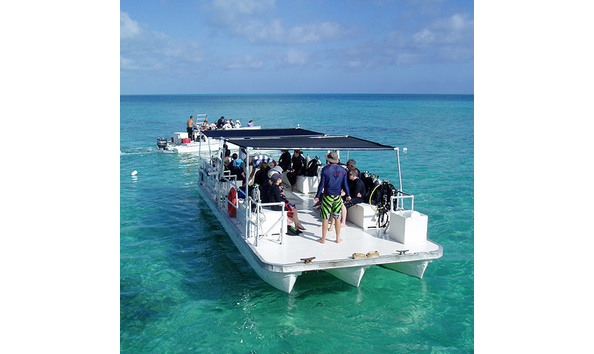 Big image mini magick20250411 1804 u6x99m