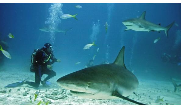 Big image mini magick20250411 1804 1nhf78h