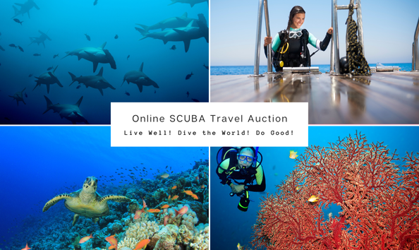 Organization Main Image