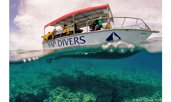 Big image manta ray bay 4