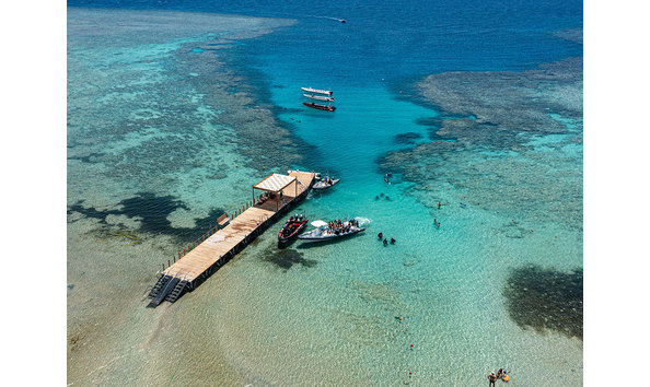 Big image red sea diving safari 2