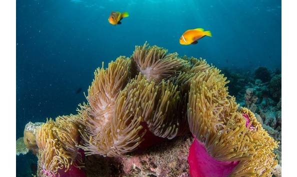 Big image maldives central atolls 01