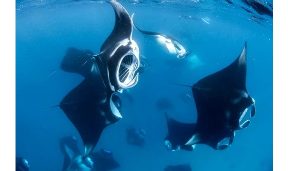 Big image maldives central atolls 04 jpg copy