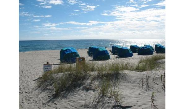 Big image colony beach