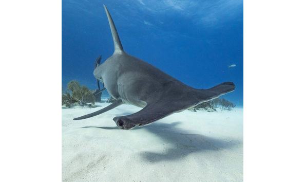 Big image 481080039 653799137154153 7168559300793811282 n