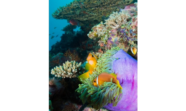 Big image 482105272 664079479459452 4430750213819185238 n