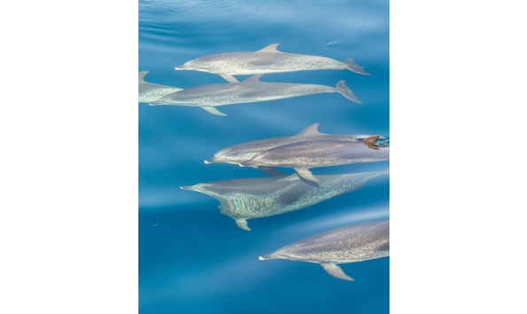 Big image 482126850 663506112850122 5274548388614331294 n