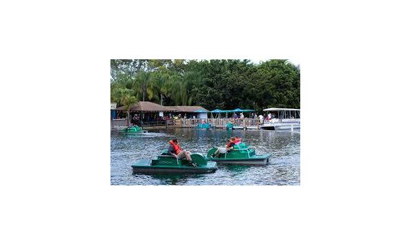 Big image lion paddle boats