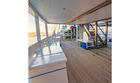 Big image pindito 2022 2