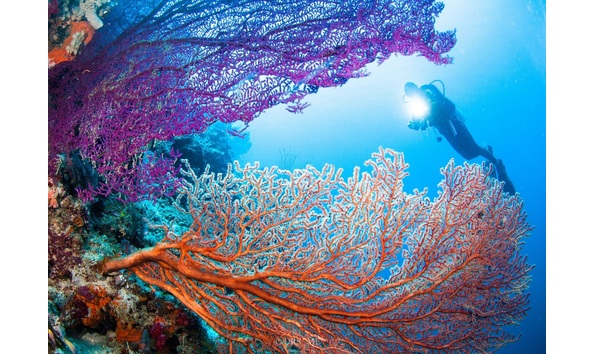 Big image photo aug 25  10 16 22  1 