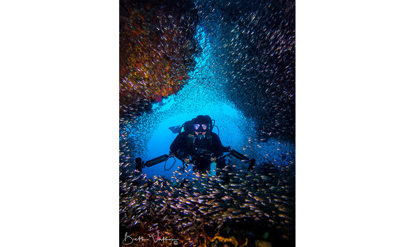 Big image tiare diver