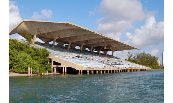 Big image side profile view