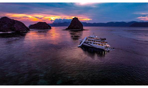 Big image mini magick20250509 1888 vhdpvr