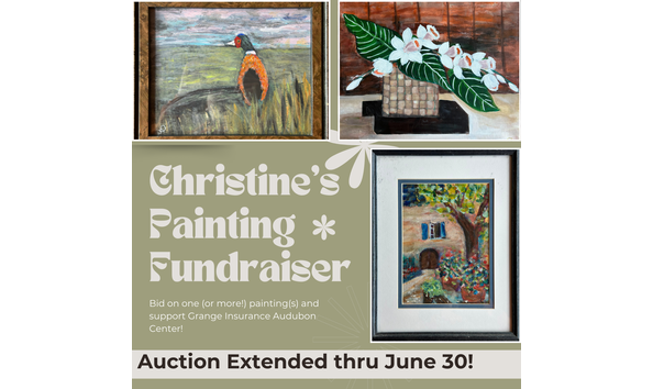 Organization Main Image