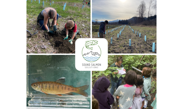 Organization Main Image