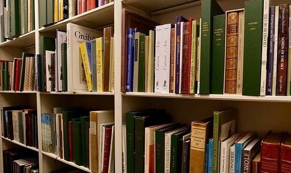 Organization Main Image