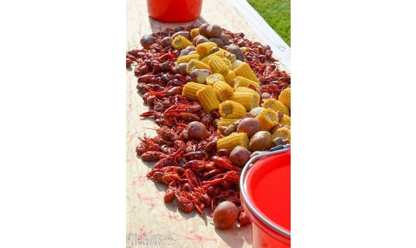 Big image mini magick20180408 44328 ygtgv0