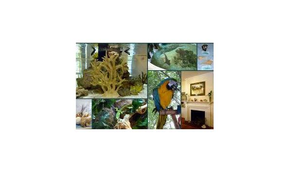 Big image sandoway collage