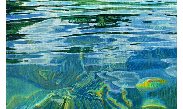 Big image lagoon at puiakura detail1