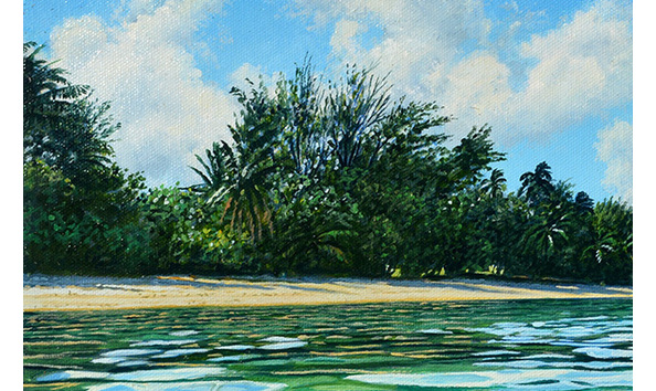 Big image lagoon at puiakura detail2