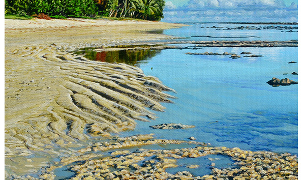 Big image reef building at arorangi detail