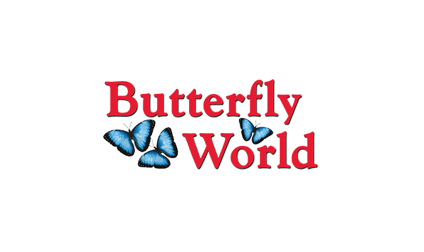 Big image butterfly world logo