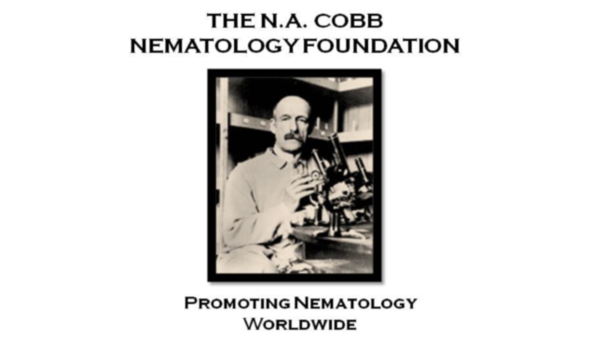 Organization Main Image