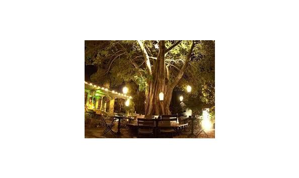 Big image dada lights